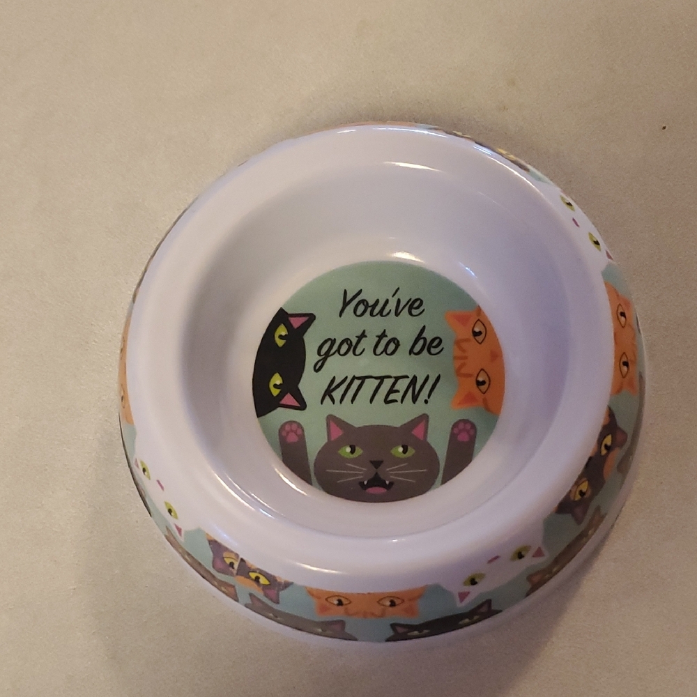 Cat-Themed Pet Bowl with Fun Design